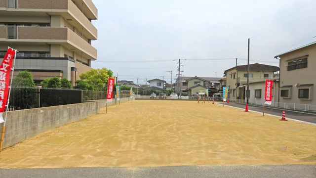 land picture